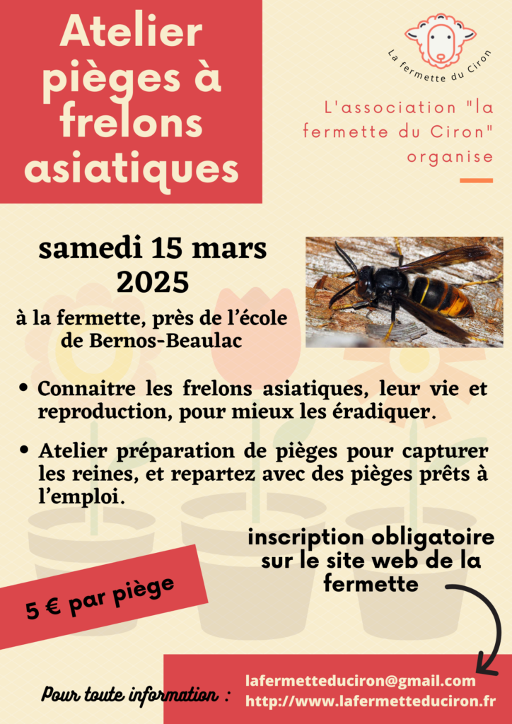 Atelier pièges à frelons asiatiques